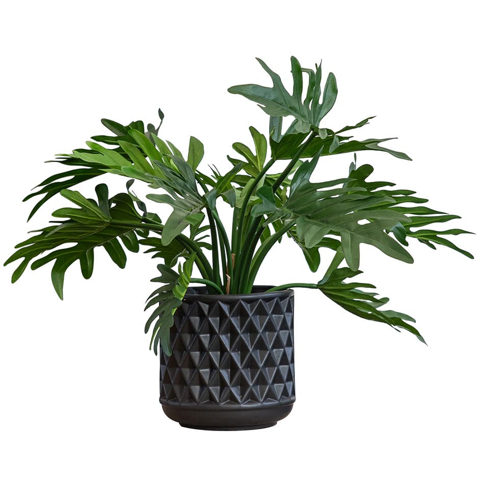 productCategoryBlock.imageAltText