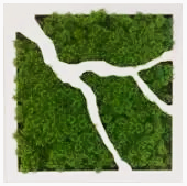 productCategoryBlock.imageAltText