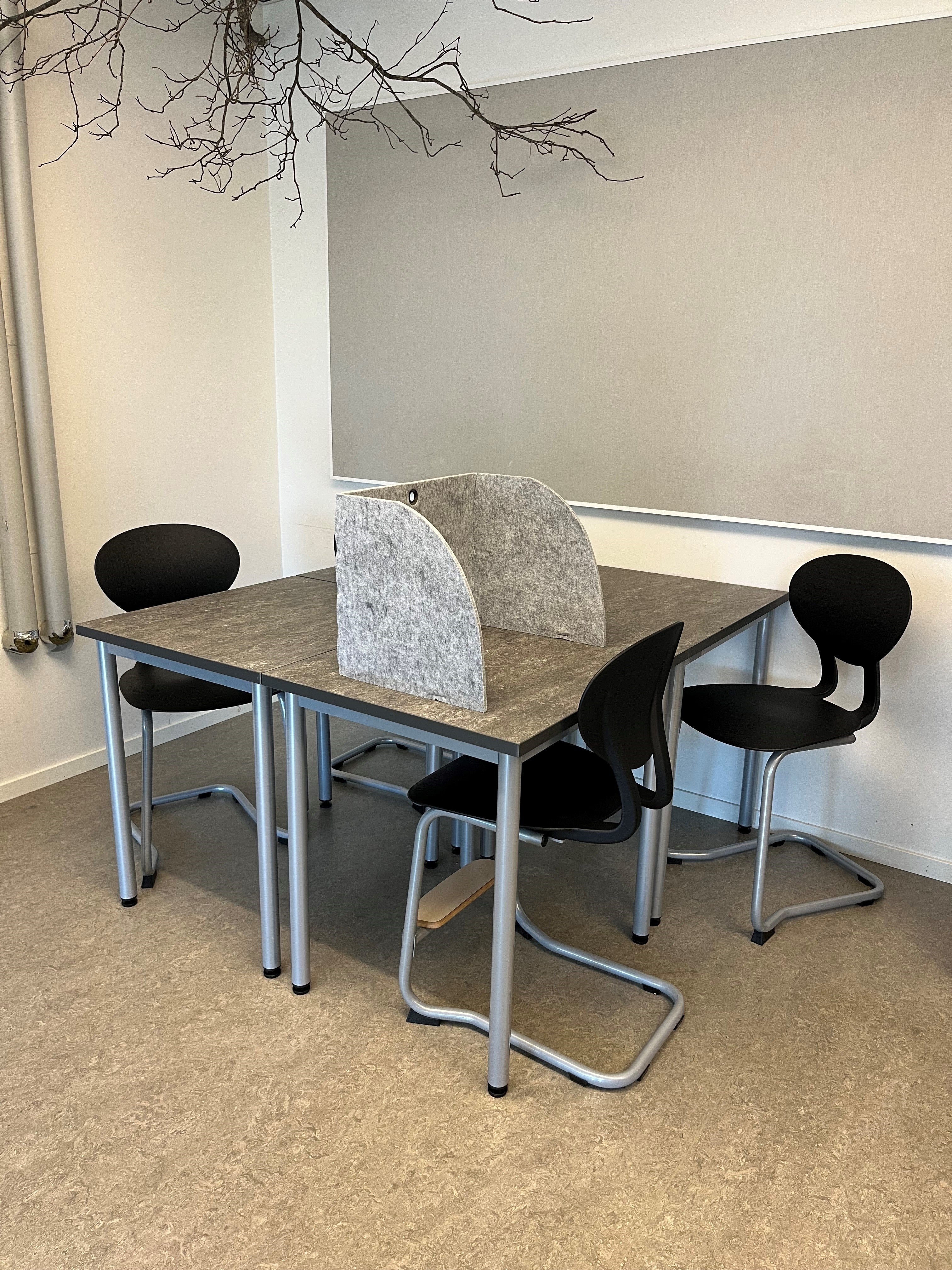 Skola.jpg