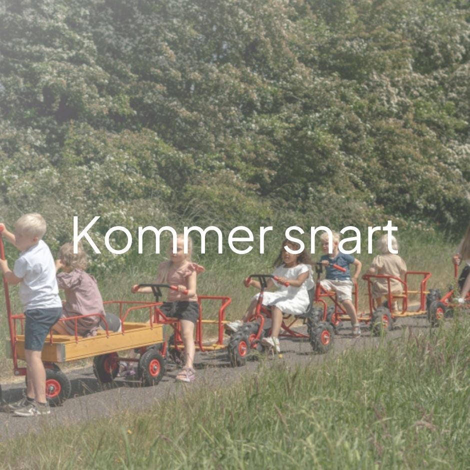 Rose DK alla cyklar.jpg